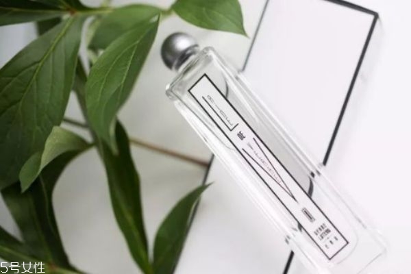 秋冬季香水推薦 擁有雪一樣味道的香水 秋冬季香水推薦 擁有雪一樣味道的香水