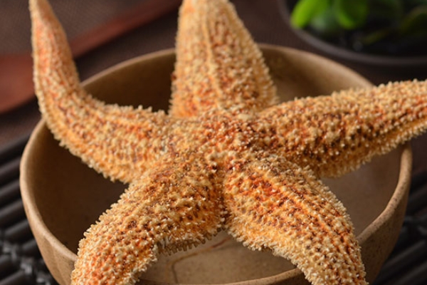 海星怎么養(yǎng) 教你養(yǎng)海星的技巧 海星怎么養(yǎng) 教你養(yǎng)海星的技巧