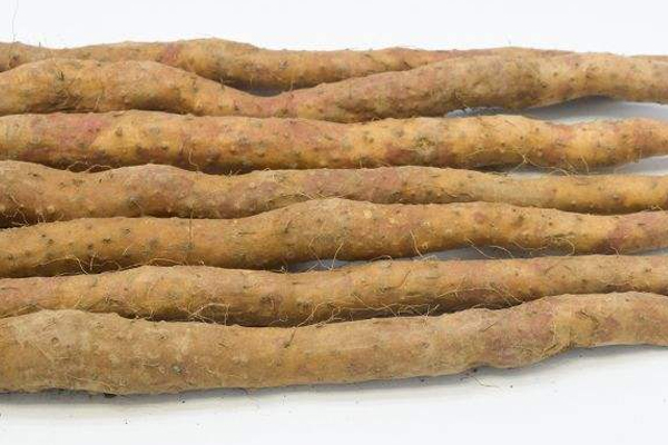 哪種山藥適合燉湯 細(xì)長的鐵棍山藥 哪種山藥適合燉湯 細(xì)長的鐵棍山藥