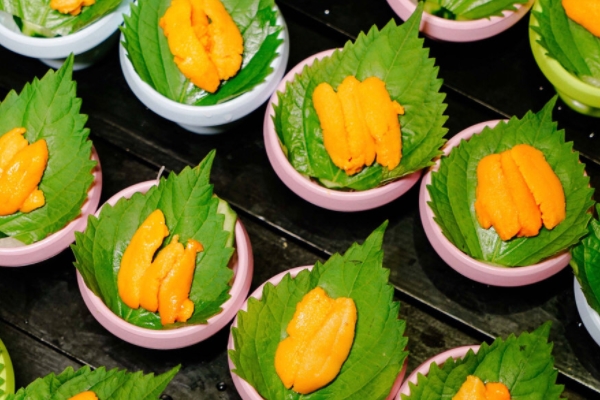 海膽為什么發(fā)苦 有兩個原因 海膽為什么發(fā)苦 有兩個原因