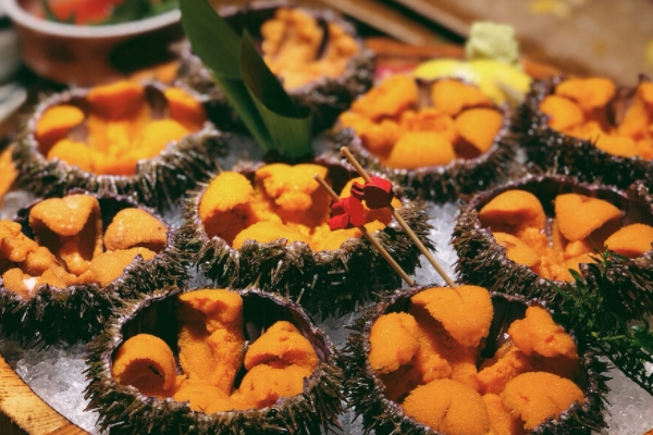 海膽怎么清洗 方法很簡單 海膽怎么清洗 方法很簡單