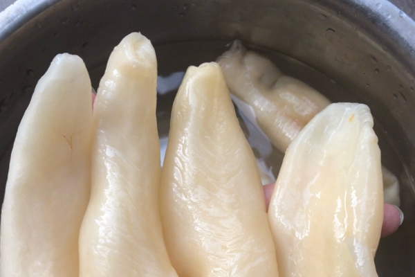 魚膠小孩可以吃嗎 適量吃可以 魚膠小孩可以吃嗎 適量吃可以