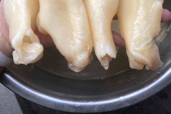 魚膠小孩可以吃嗎 適量吃可以 魚膠小孩可以吃嗎 適量吃可以