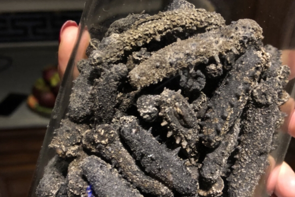 海參為什么會(huì)苦 是這個(gè)原因 海參為什么會(huì)苦 是這個(gè)原因