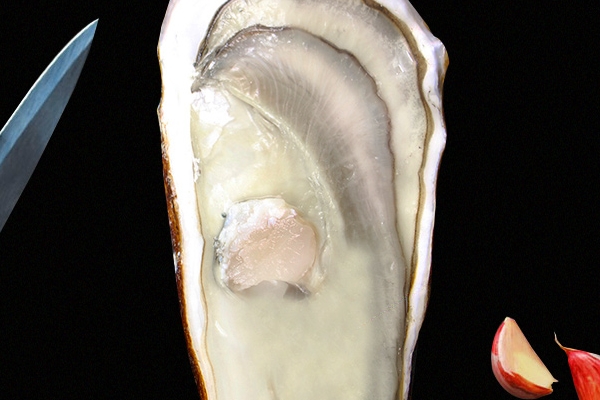 生蠔為什么長在石頭上 生來如此 生蠔為什么長在石頭上 生來如此