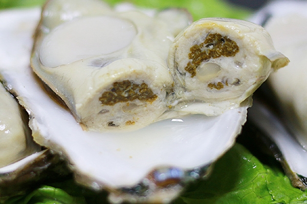 生蠔有屎?jiǎn)?這是肯定的 生蠔有屎?jiǎn)?這是肯定的