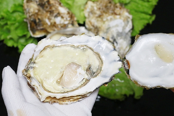 生蠔有屎?jiǎn)?這是肯定的 生蠔有屎?jiǎn)?這是肯定的