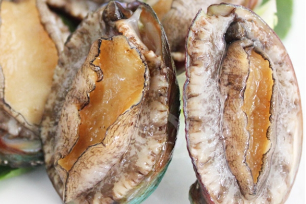 鮑魚為什么沒有眼睛 其實(shí)是有的 鮑魚為什么沒有眼睛 其實(shí)是有的