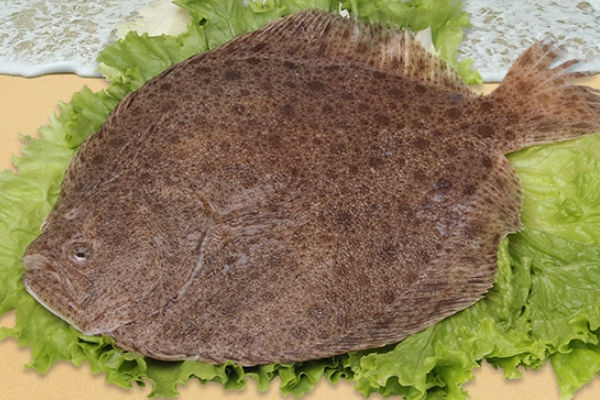 多寶魚怎么處理 按照這個方法準沒錯 多寶魚怎么處理 按照這個方法準沒錯