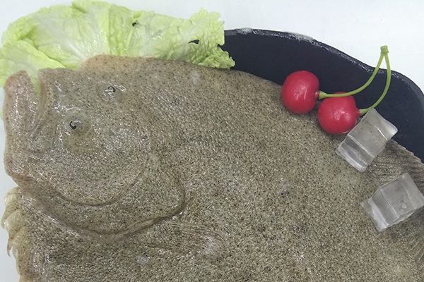 多寶魚有刺嗎 有一根大刺 多寶魚有刺嗎 有一根大刺