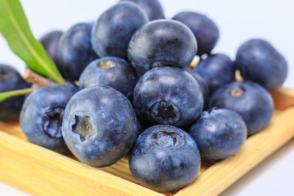 藍莓品種哪個好 4大品種pk 藍莓品種哪個好 4大品種pk