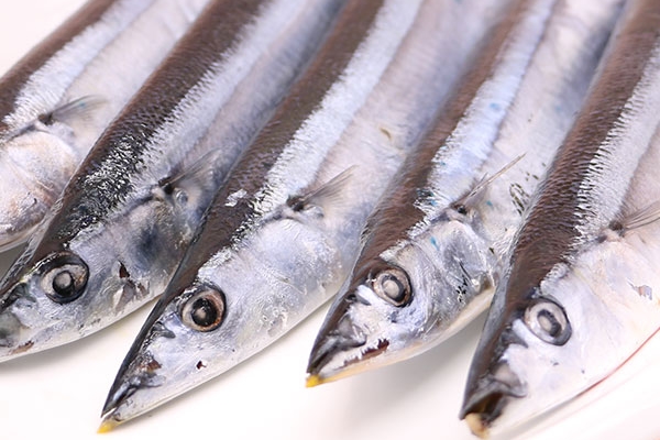 秋刀魚(yú)為什么苦 居然是這個(gè)原因