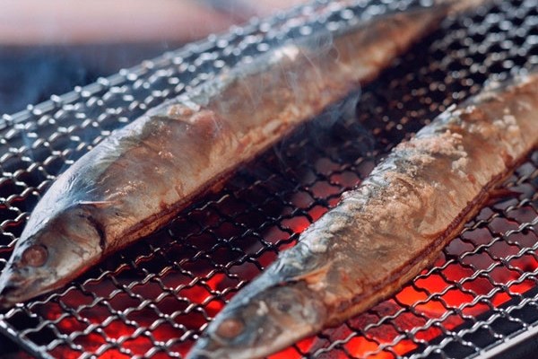 秋刀魚(yú)為什么苦 居然是這個(gè)原因