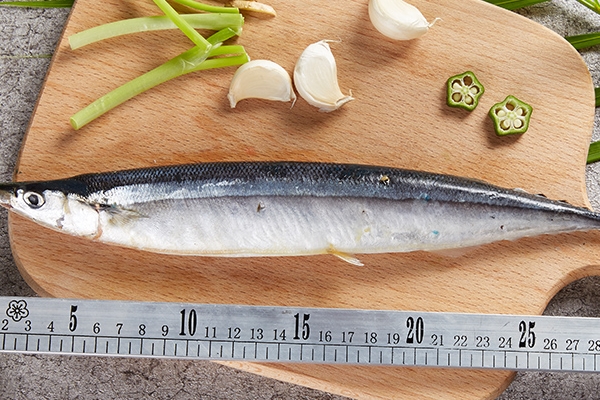 秋刀魚(yú)清蒸多久會(huì)熟 十幾分鐘就好