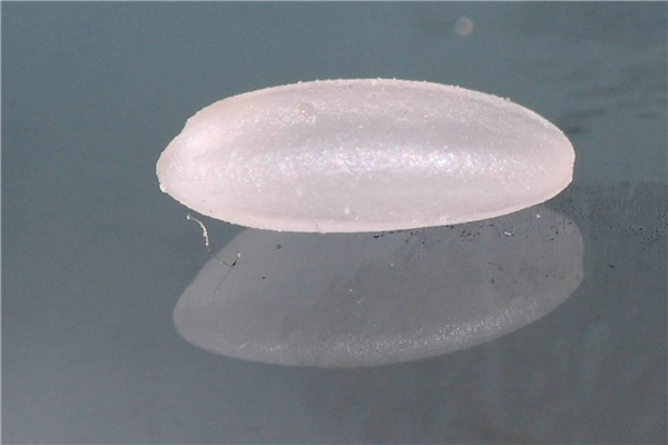 米蟲是怎么長出來的 其實(shí)卵在米里面 米蟲是怎么長出來的 其實(shí)卵在米里面