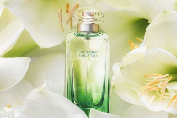 尼羅河花園香水適合什么人 愛(ài)馬仕尼羅河花園香水評(píng)價(jià)