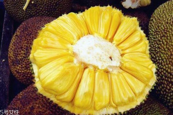 菠蘿蜜剝開沒熟怎么辦 菠蘿蜜的核有什么作用 菠蘿蜜剝開沒熟怎么辦 菠蘿蜜的核有什么作用