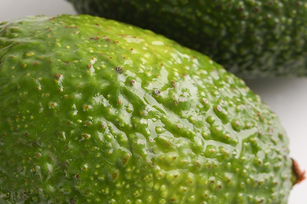 牛油果怎么做輔食 教你幾個(gè)方法 牛油果怎么做輔食 教你幾個(gè)方法