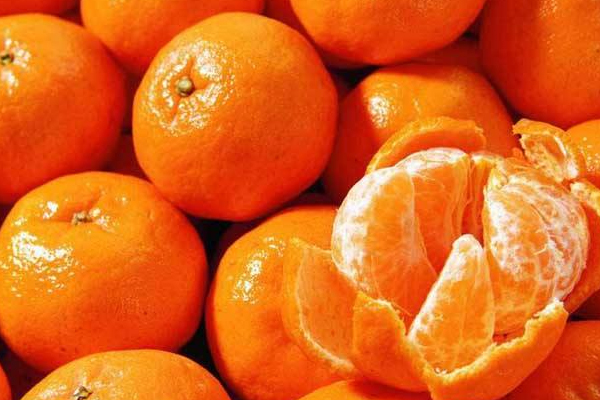 砂糖橘哪個(gè)品種好吃 3種砂糖橘各有優(yōu)點(diǎn) 砂糖橘哪個(gè)品種好吃 3種砂糖橘各有優(yōu)點(diǎn)