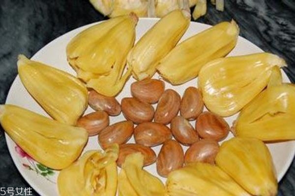 菠蘿蜜剝開沒熟怎么辦 菠蘿蜜的核有什么作用 菠蘿蜜剝開沒熟怎么辦 菠蘿蜜的核有什么作用