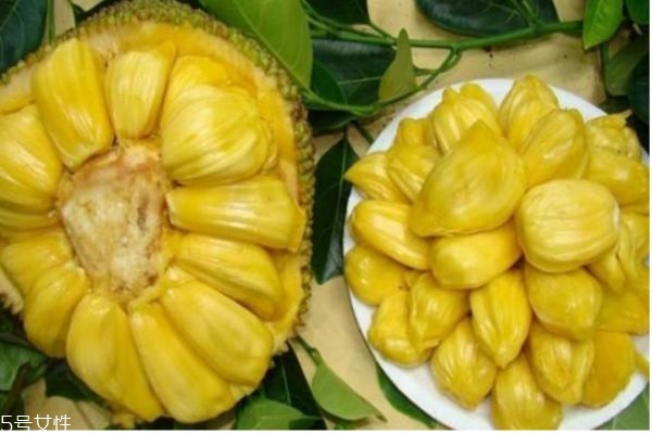 菠蘿蜜剝開沒熟怎么辦 菠蘿蜜的核有什么作用 菠蘿蜜剝開沒熟怎么辦 菠蘿蜜的核有什么作用