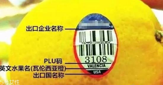 進(jìn)口水果是真的假的 別買了假的進(jìn)口水果 進(jìn)口水果是真的假的 別買了假的進(jìn)口水果