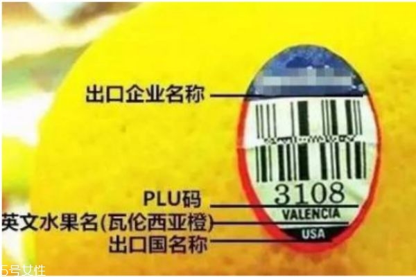 進(jìn)口水果是真的假的 別買了假的進(jìn)口水果 進(jìn)口水果是真的假的 別買了假的進(jìn)口水果