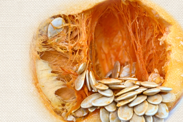 南瓜子是發(fā)物嗎 屬于發(fā)物類 南瓜子是發(fā)物嗎 屬于發(fā)物類