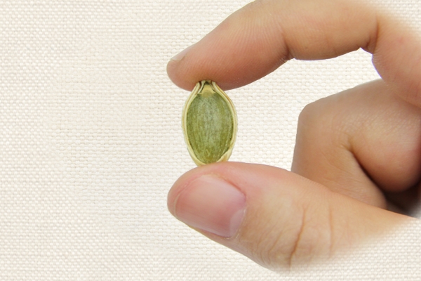 南瓜子是發(fā)物嗎 屬于發(fā)物類 南瓜子是發(fā)物嗎 屬于發(fā)物類