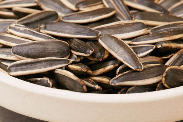 葵花籽為什么空殼 雨水頻繁導(dǎo)致 葵花籽為什么空殼 雨水頻繁導(dǎo)致