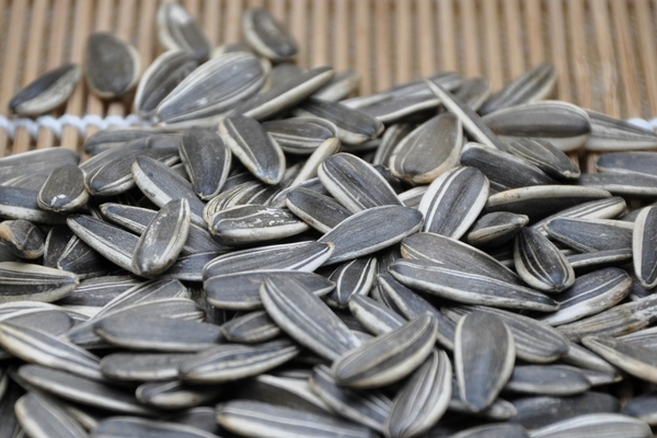 葵花籽怎么弄下來？葵花籽怎么脫粒