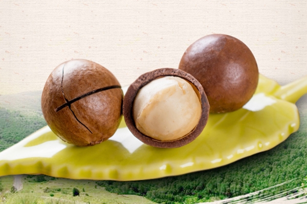 夏威夷果為什么有奶香味 加工而來(lái) 夏威夷果為什么有奶香味 加工而來(lái)