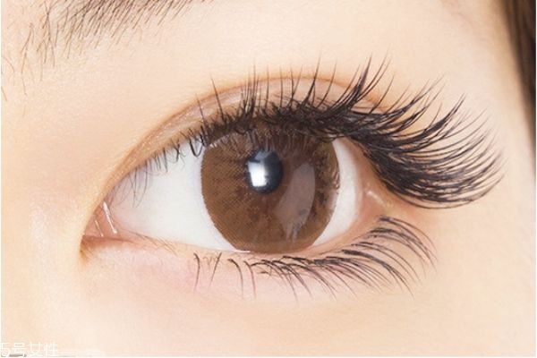 嫁接睫毛怎么保持更長時間 嫁接睫毛的詳細步驟 嫁接睫毛怎么保持更長時間 嫁接睫毛的詳細步驟