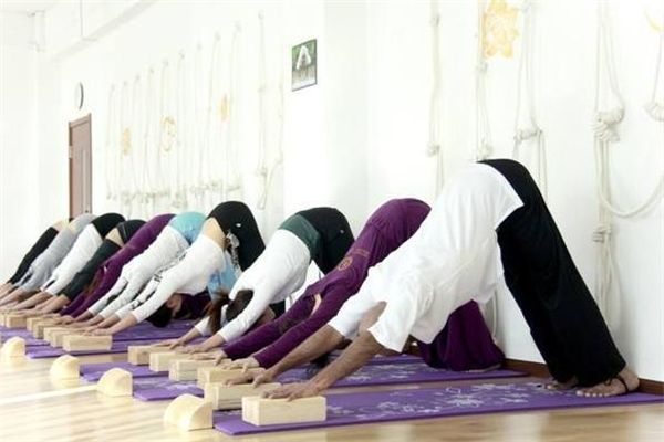 艾揚格瑜伽是什么 強身健體首選 艾揚格瑜伽是什么 強身健體首選