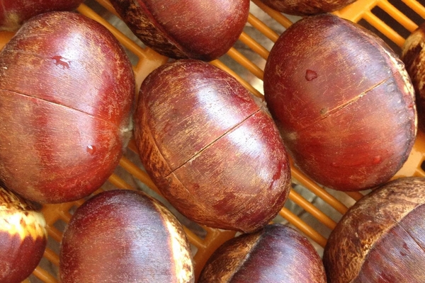 糖炒板栗有營養(yǎng)嗎 這是肯定的 糖炒板栗有營養(yǎng)嗎 這是肯定的