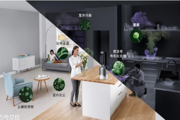 空氣污染氣喘更嚴(yán)重 如何清除家中過敏原 空氣污染氣喘更嚴(yán)重 如何清除家中過敏原