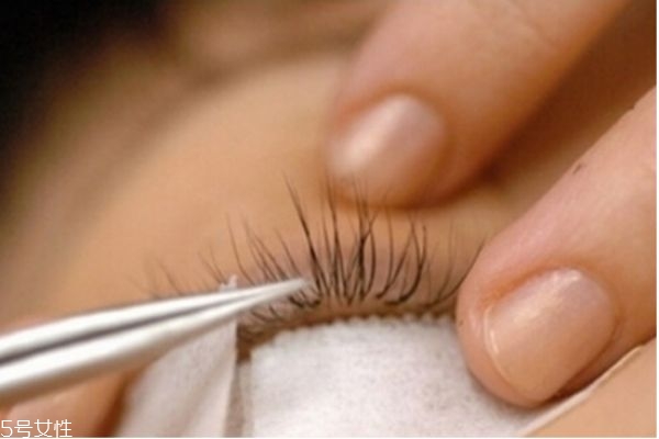 嫁接睫毛怎么保持更長時間 嫁接睫毛的詳細步驟 嫁接睫毛怎么保持更長時間 嫁接睫毛的詳細步驟