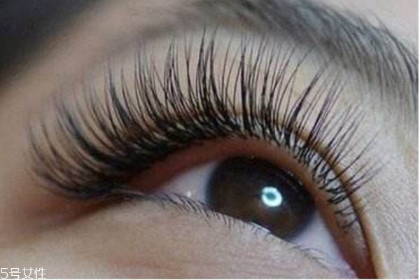 嫁接睫毛怎么保持更長時間 嫁接睫毛的詳細步驟 嫁接睫毛怎么保持更長時間 嫁接睫毛的詳細步驟