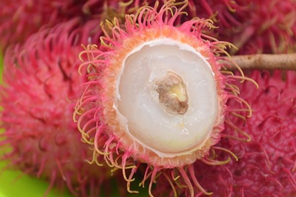 紅毛丹好吃嗎 好吃還有營(yíng)養(yǎng) 紅毛丹好吃嗎 好吃還有營(yíng)養(yǎng)