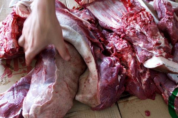 野豬肉怎么燒 方法很簡(jiǎn)單 野豬肉怎么燒 方法很簡(jiǎn)單