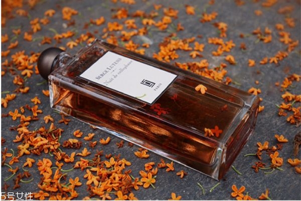 蘆丹氏八月夜桂花香水香評 蘆丹氏八月夜桂花價格 蘆丹氏八月夜桂花香水香評 蘆丹氏八月夜桂花價格