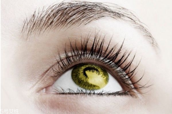 睫毛增長液什么時(shí)候使用效果最好 堅(jiān)持使用最好 睫毛增長液什么時(shí)候使用效果最好 堅(jiān)持使用最好