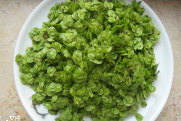 榆錢(qián)好吃嗎 榆錢(qián)什么季節(jié)有 榆錢(qián)好吃嗎 榆錢(qián)什么季節(jié)有