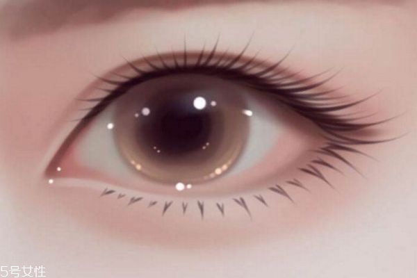 滴眼藥水時(shí)眼睛刺痛是正常的嗎 眼液的正確使用方法 滴眼藥水時(shí)眼睛刺痛是正常的嗎 眼液的正確使用方法