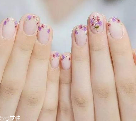 干花美甲有哪些 干花美甲圖片大全 干花美甲有哪些 干花美甲圖片大全