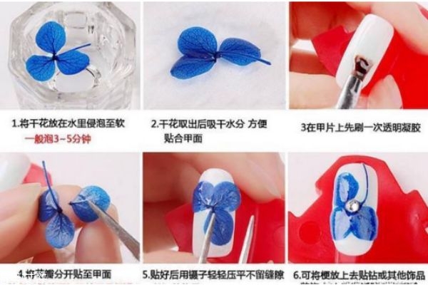 干花美甲有哪些 干花美甲圖片大全 干花美甲有哪些 干花美甲圖片大全