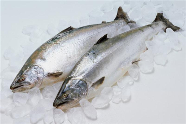 吃什么調(diào)節(jié)荷爾蒙 4種女性必吃食材 吃什么調(diào)節(jié)荷爾蒙 4種女性必吃食材