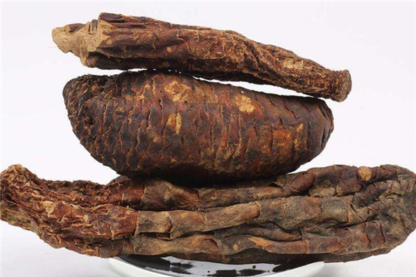 肉蓯蓉糖尿病人可以吃嗎 會(huì)產(chǎn)生不適