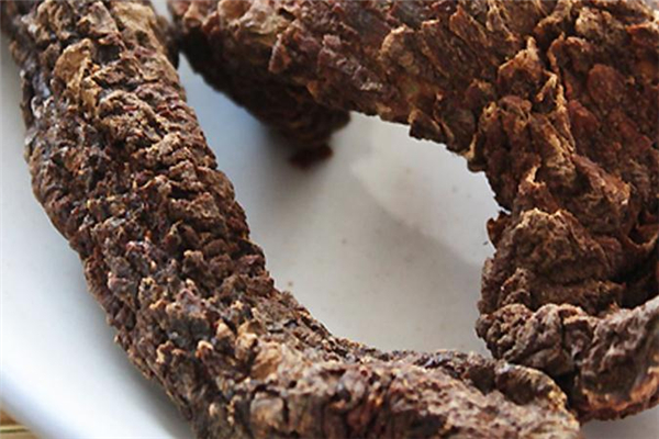 肉蓯蓉軟硬有什么區(qū)別 含糖量和價(jià)格都不同 肉蓯蓉軟硬有什么區(qū)別 含糖量和價(jià)格都不同