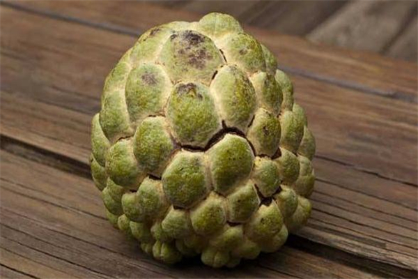 釋迦果為什么那么貴 產(chǎn)量比較低 釋迦果為什么那么貴 產(chǎn)量比較低